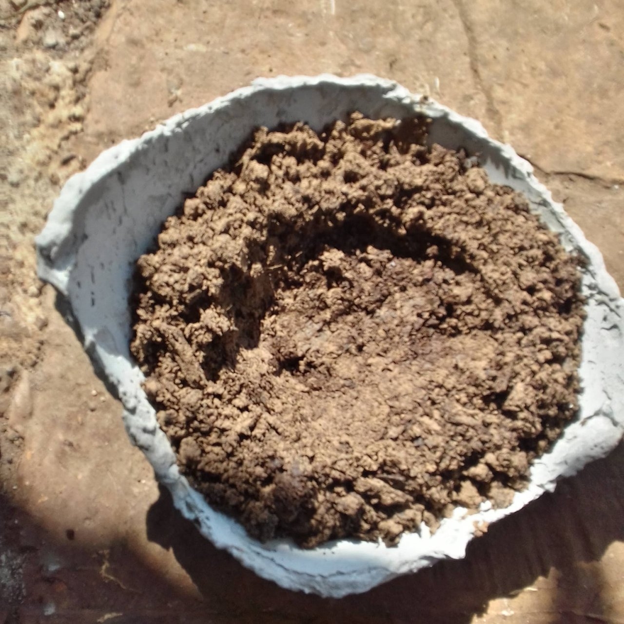 Soil in bonsai pot shallow.jpg