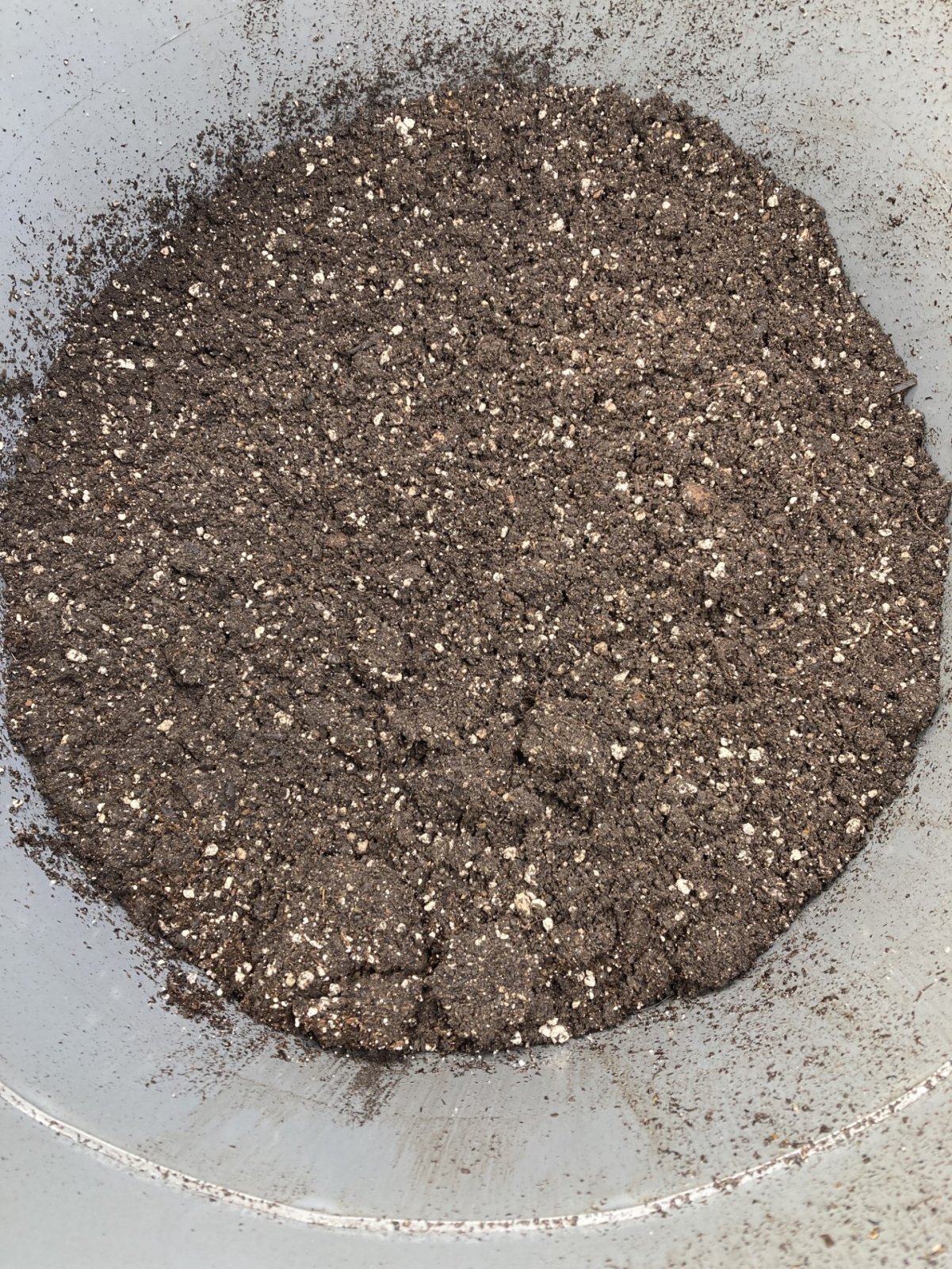 soil.jpg