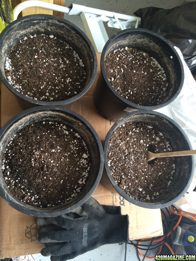 Soil Pots