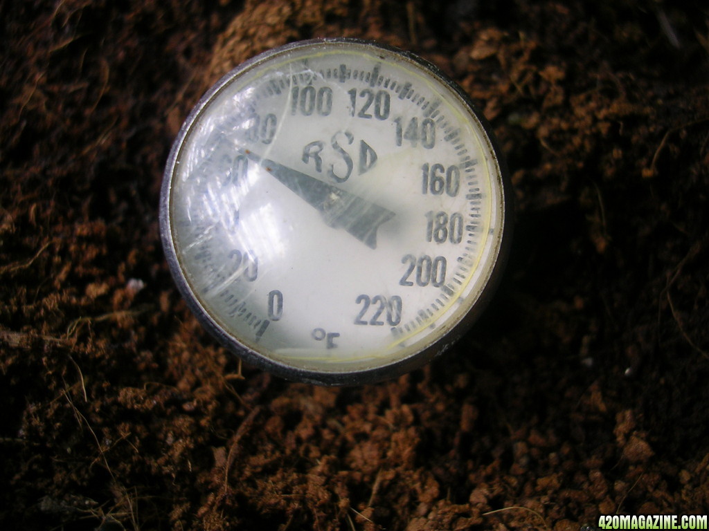 Soil Temps