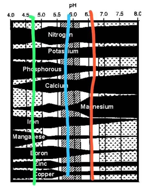 Some chart.jpeg