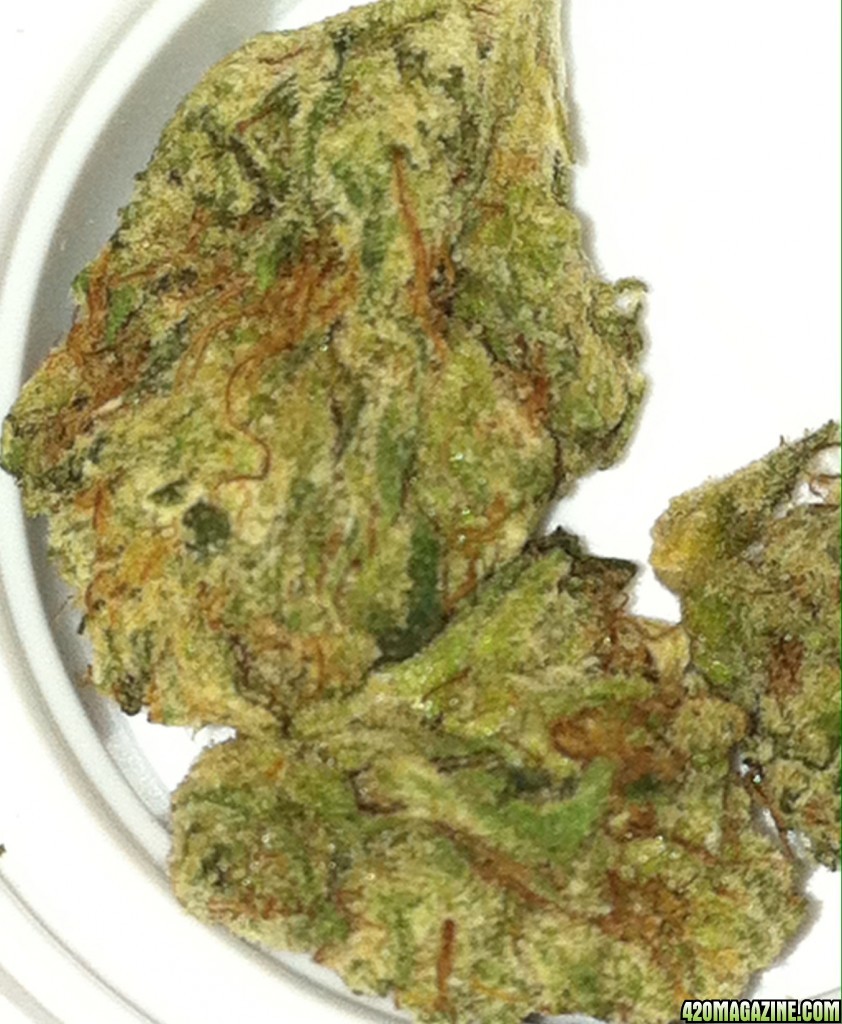 Some type of Medical MJ