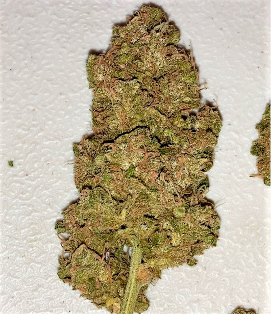 sour apple finished bud closeup 2.jpg