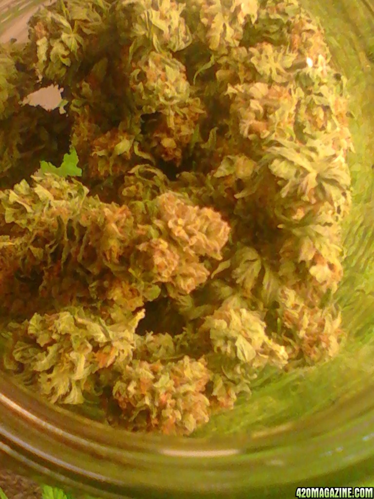 Sour D