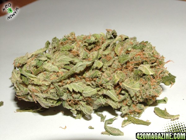 Sour Diesel