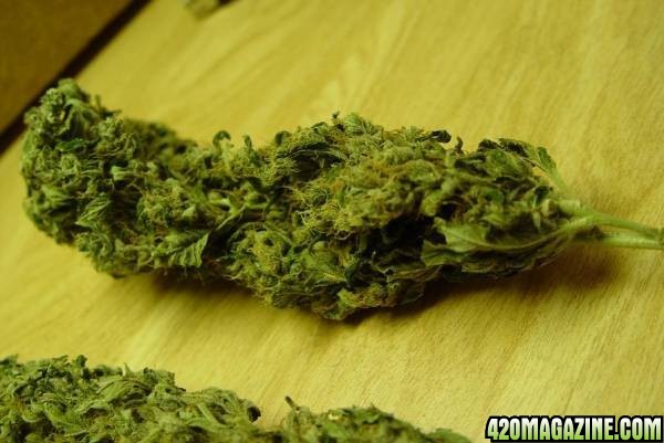 Sour Diesel