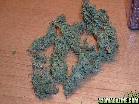 Sour Diesel