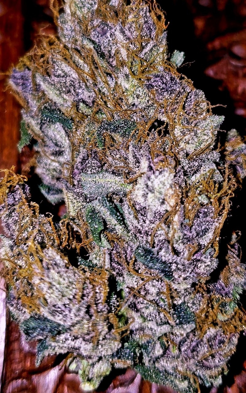 Sourberry Kush2.jpg