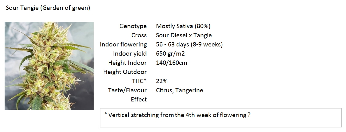 SourTangie_Specs.jpg