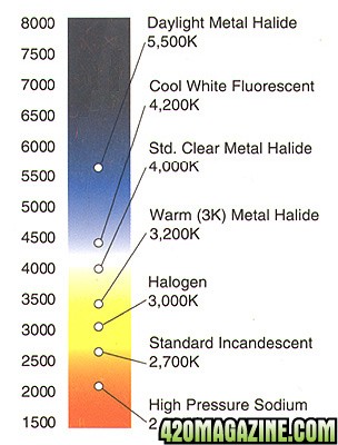 spectrum