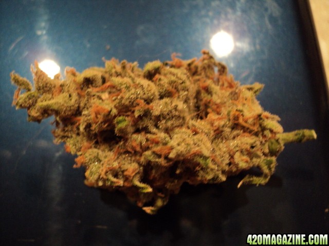 SPEED_DRY_NUG