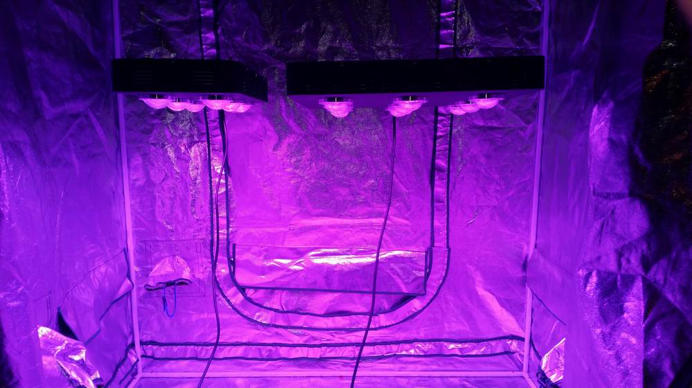 Spider COB LED Grow Light