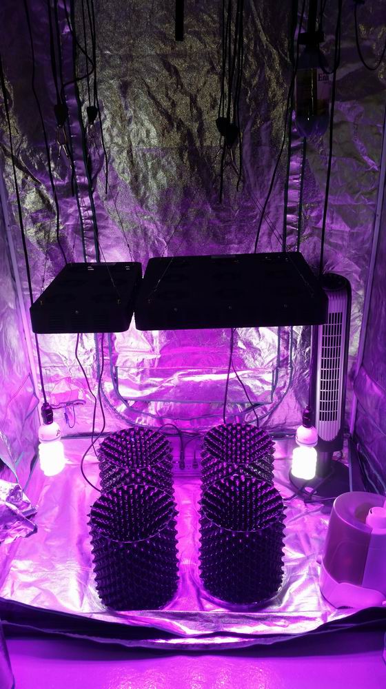 Spider COB LED Grow Light