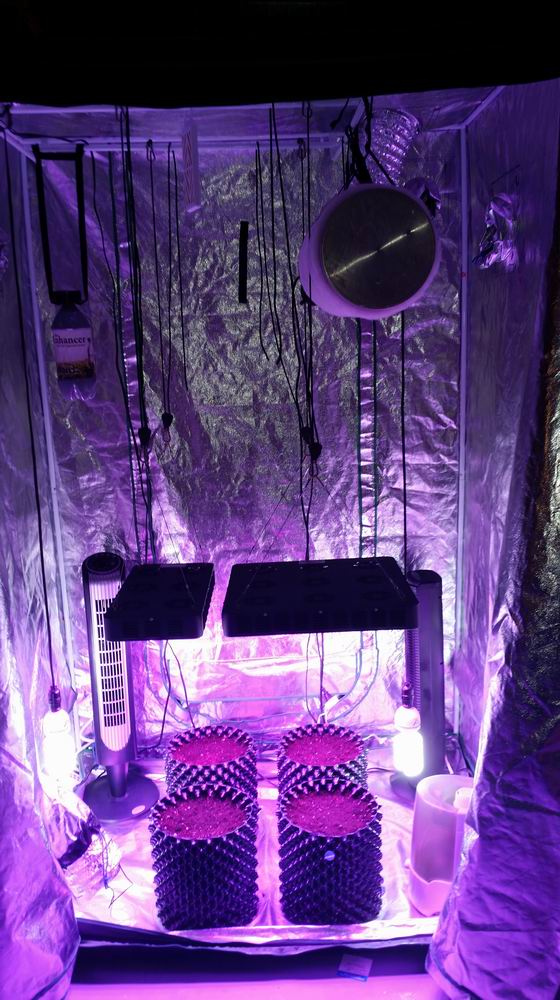 Spider COB LED Grow Light