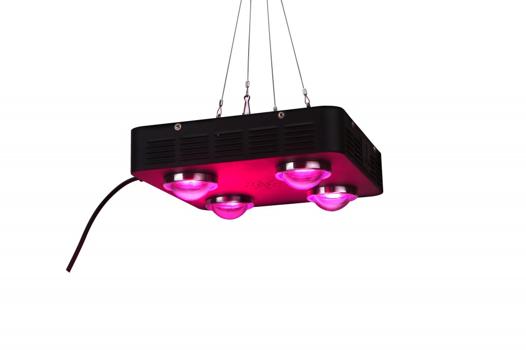 Spider COB LED Grow Light