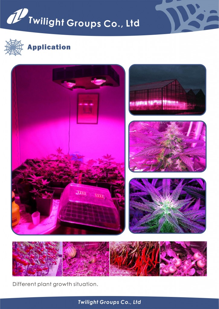 Spider COB LED Grow Light