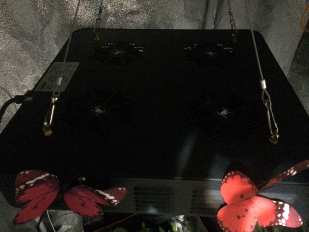 Spider COB LED Grow Light