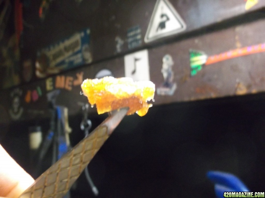 SSH WAX