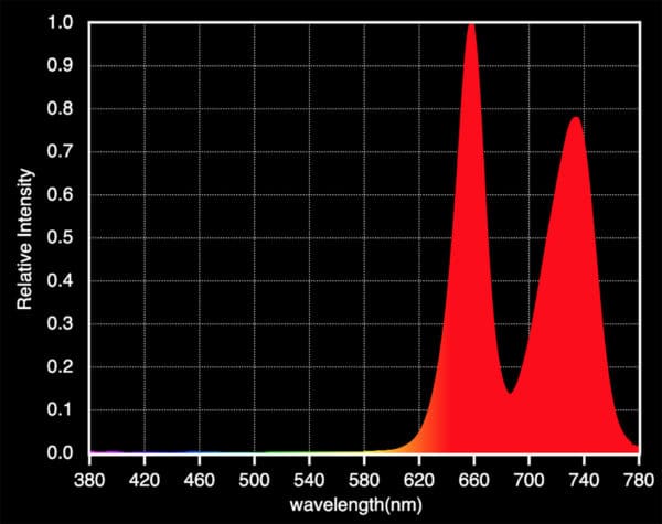 ssk1560730660-600x475.jpg