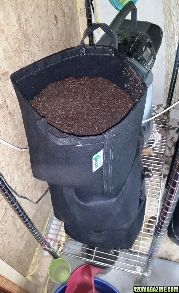 stacked 7-gal pots of soil