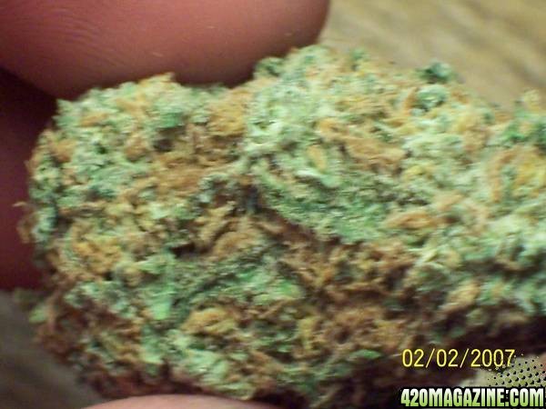 Sticky Dense Nugs ...