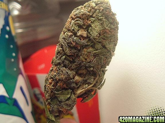 Sticky Icky