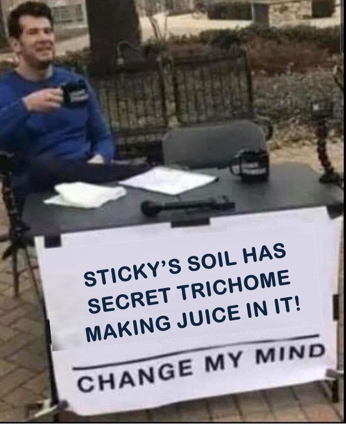 sTICKYS sOIL.JPG