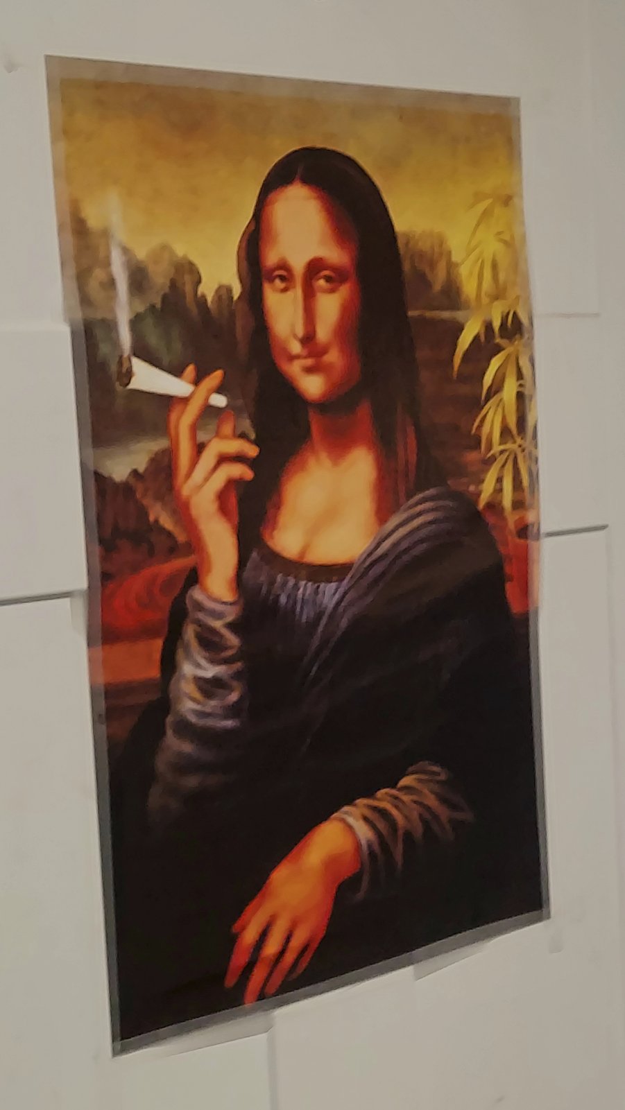 Stoner Lisa.jpg