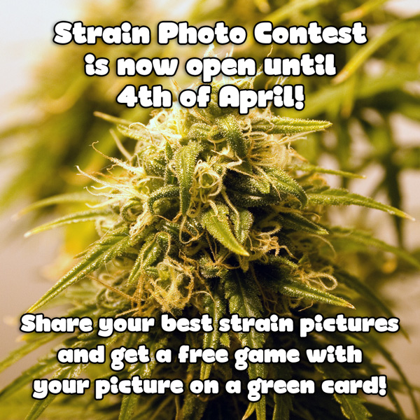 Strain photo contest