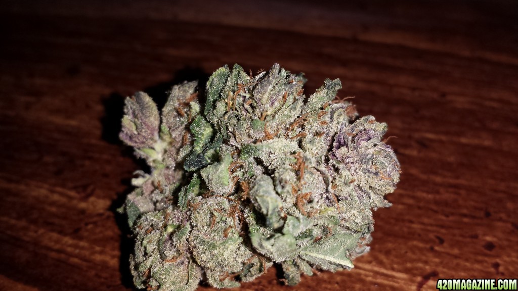 Strain: Pre 98 Bubba Kush