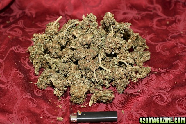 Strawberry Cough_Bud_01