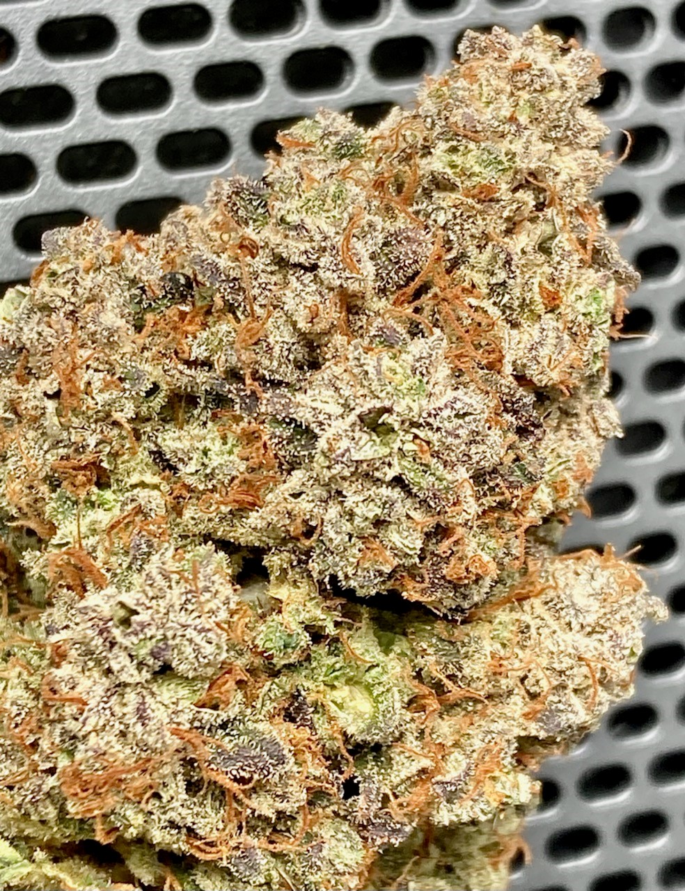 Strawberry Lemonade finished bud on speaker closeup.jpg