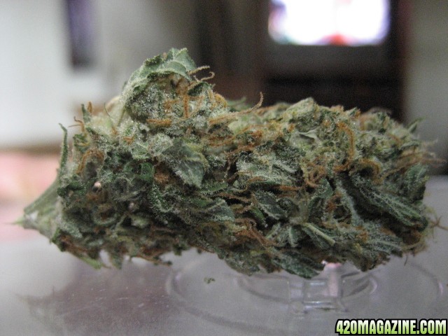 StrawberryCough Bud