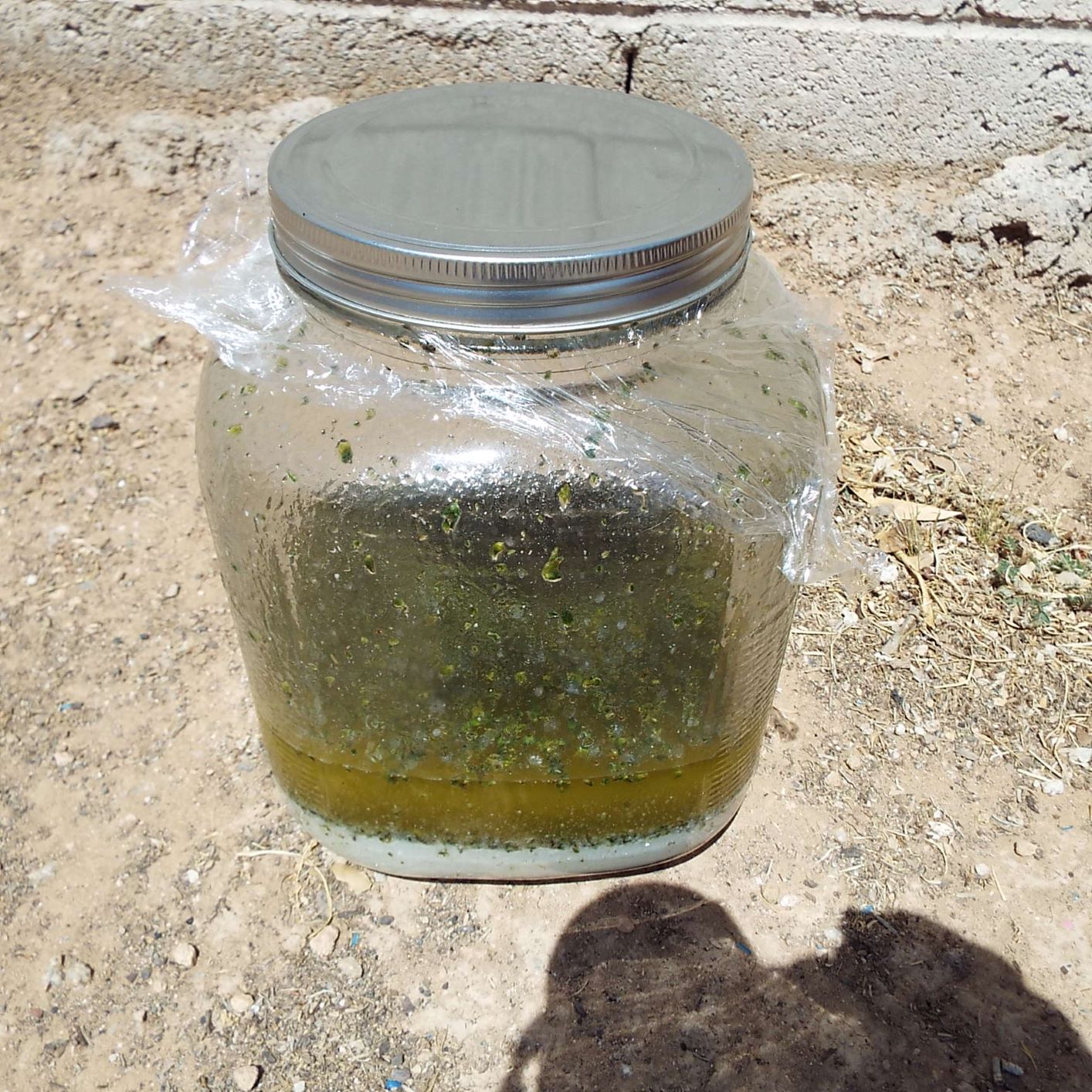 Sun CannaButter 2.JPG