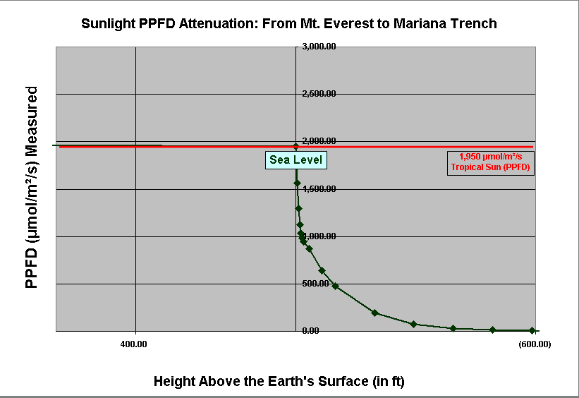 Sunlight PPFD Attenuation: Near Surface