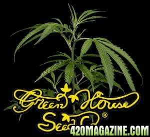 Super Silver Haze - Green House Seed Co.