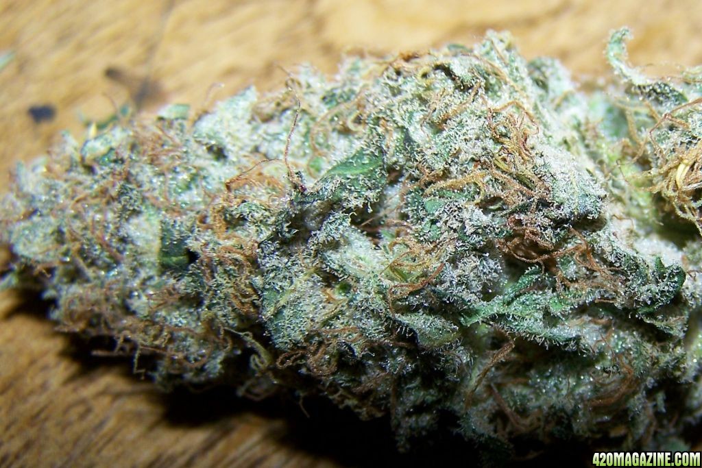 SUPER SKUNK