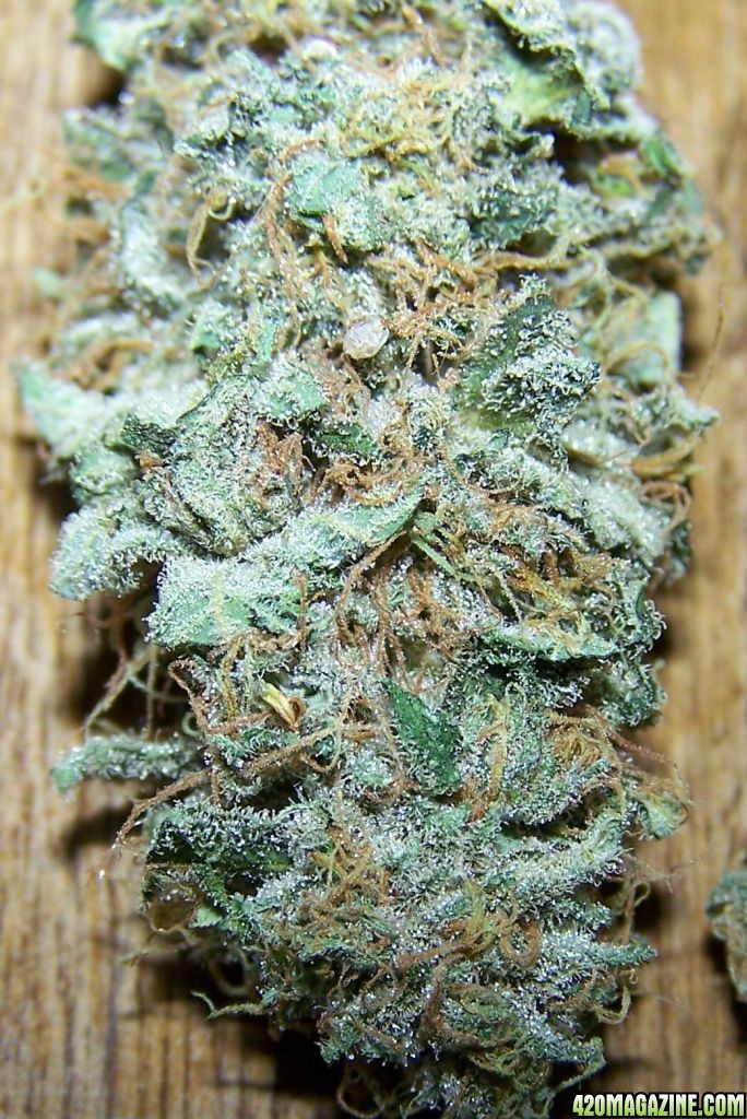 SUPER SKUNK