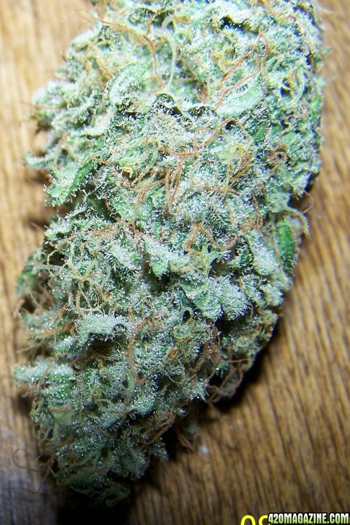 SUPER SKUNK