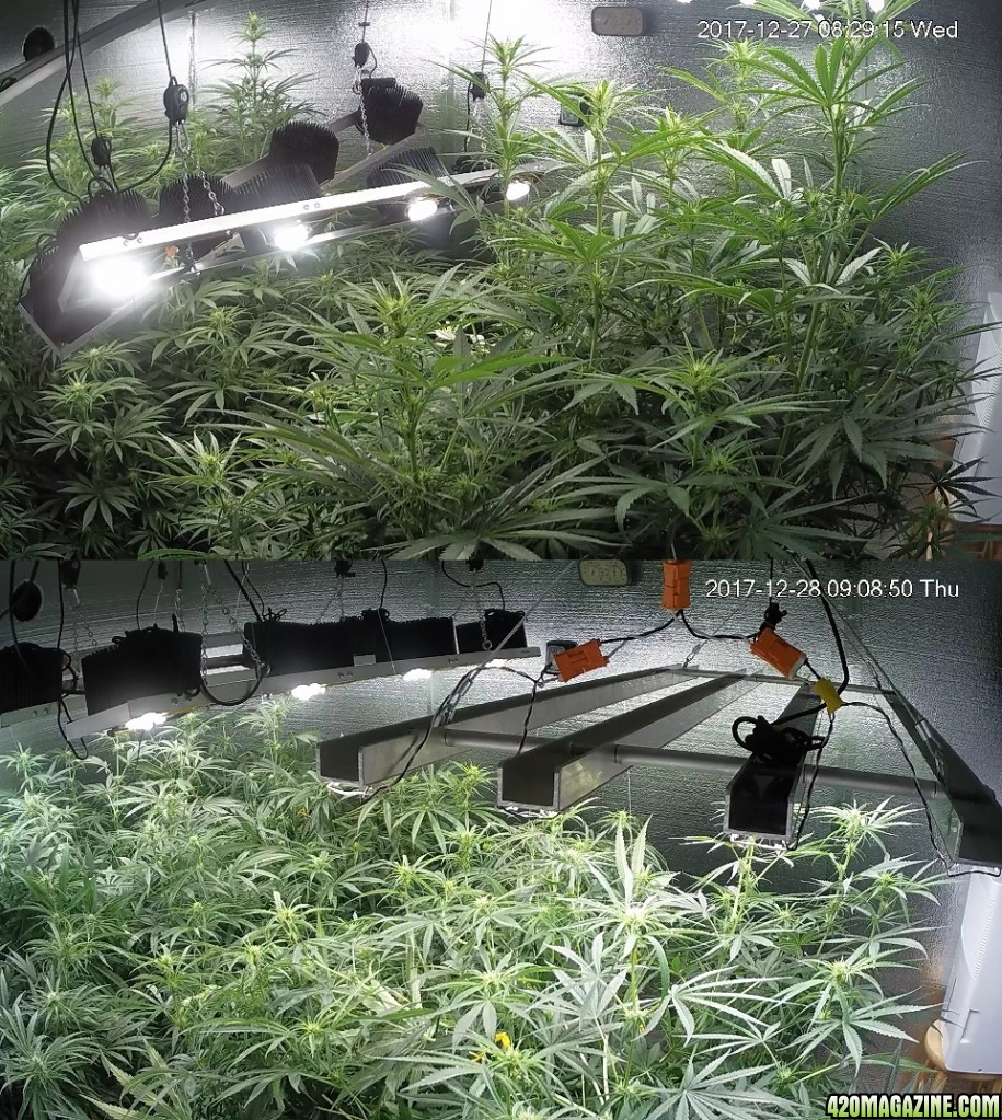 Supercrop before/after