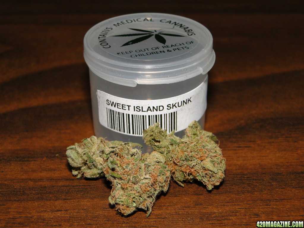 Sweet_Island_Skunk