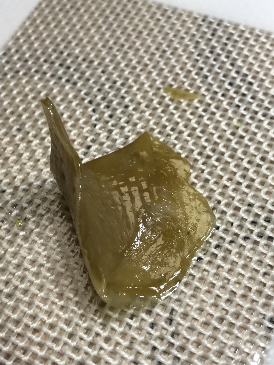 Tangie Rosin 2.jpeg