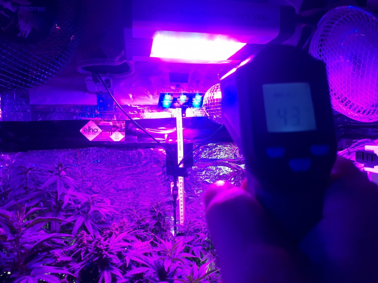 Temp on DIY IR and Deep Blue 3 w LEDs.jpg