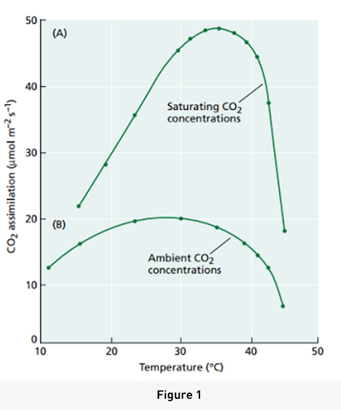 temperature-blog-graphic-large.jpg