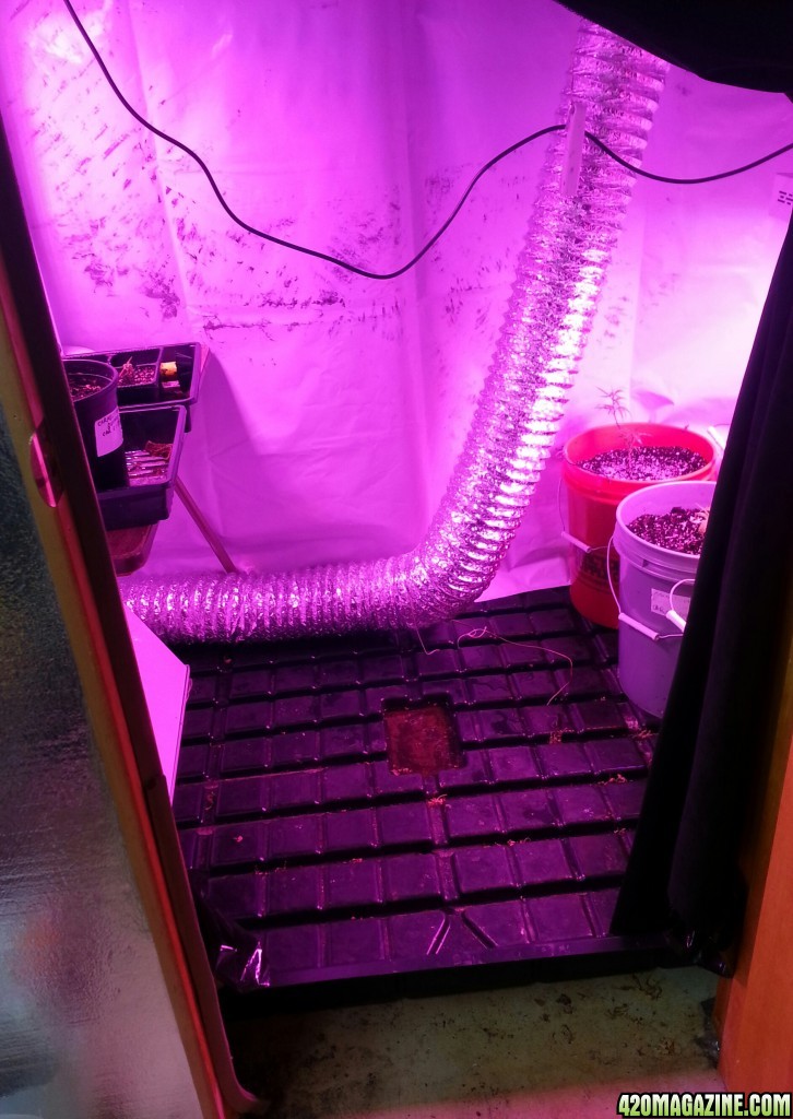 temporary veg room