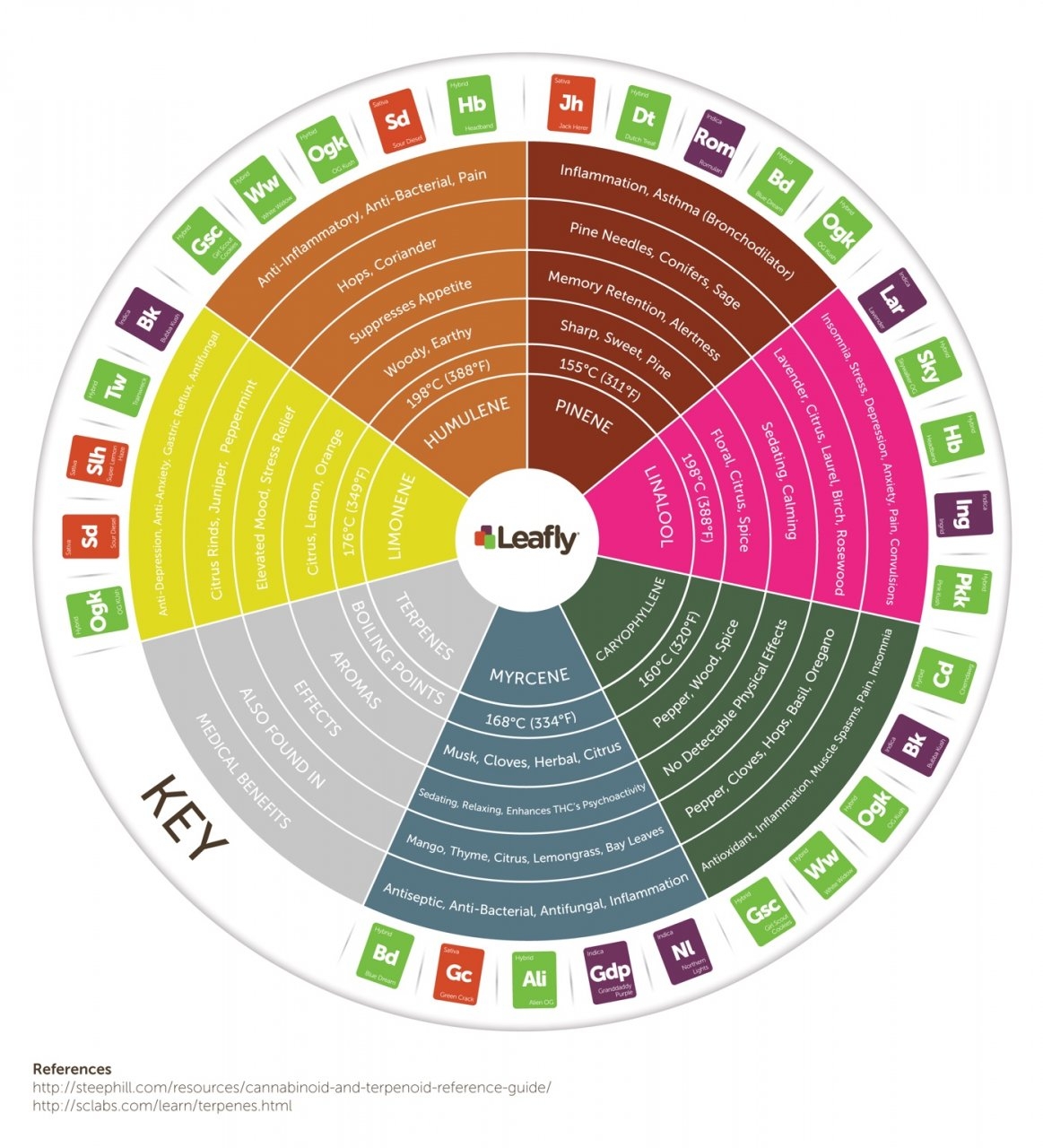 terpene chart.jpg