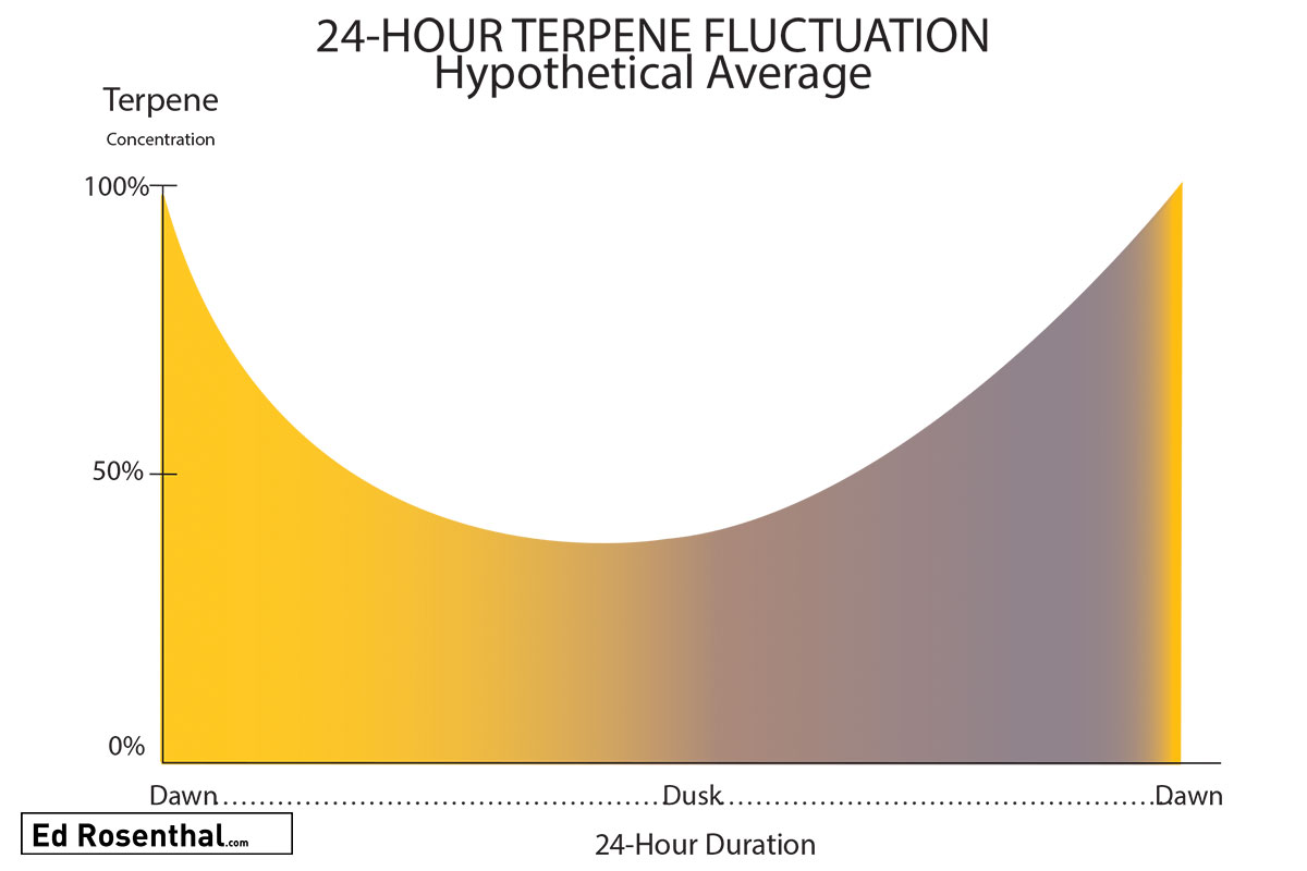 terpene-fluxuation-ed-rosenthal.jpg