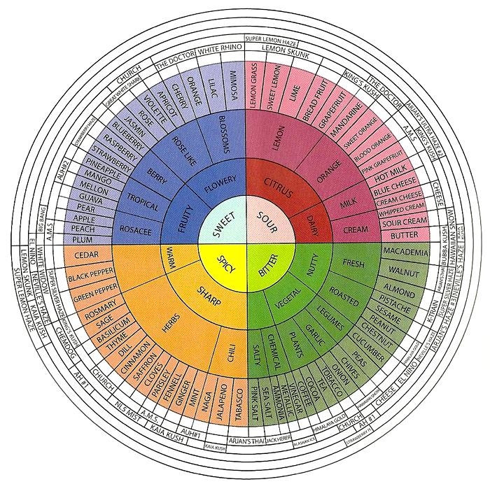 Terpene wheel by GHSeeds