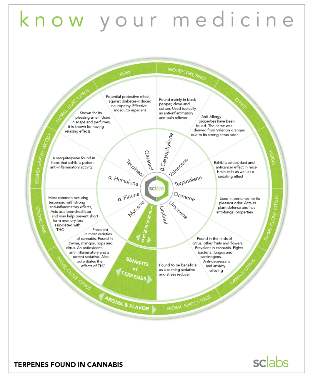 terpene_wheel_large.png