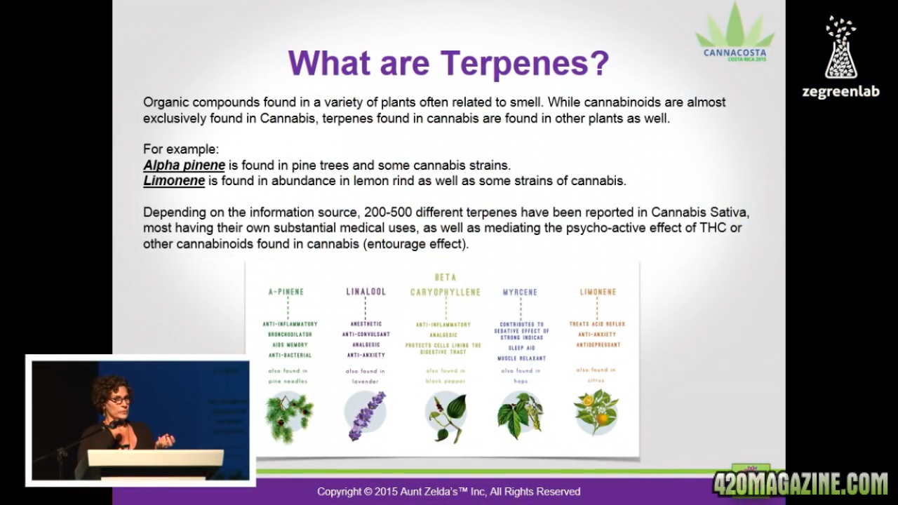 Terpenes